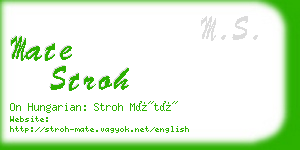 mate stroh business card